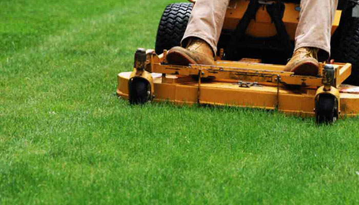 Lawn Maintenance